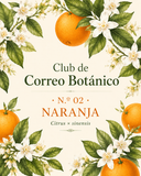Membresía al club de correo botánico🍃Edición 02 naranja🍊