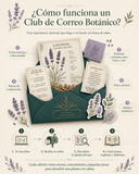 Suscripción al club de correo botánico 🍃📬