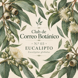 Membresía al club de correo botánico🍃Edición 03 eucalipto 🌿