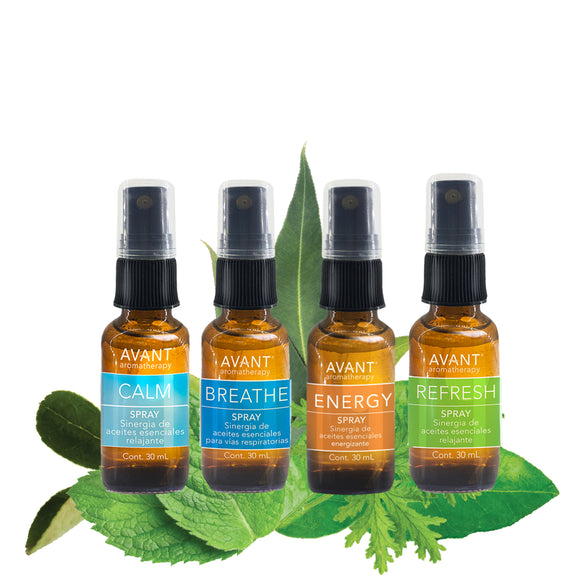 🍃 Elige tus 4 Brisas favoritas a un gran precio🍃