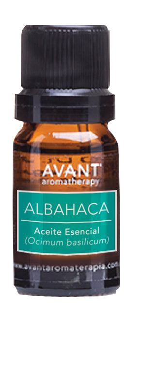 Aceite esencial de Albahaca