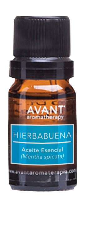Aceite esencial de Hierbabuena