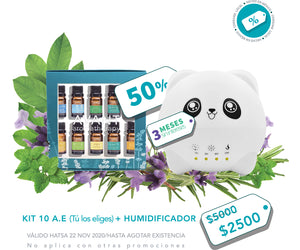 Humidificador ultrasónico Panda 300 ml + Kit 10 Aceites Esenciales (tú los eliges)