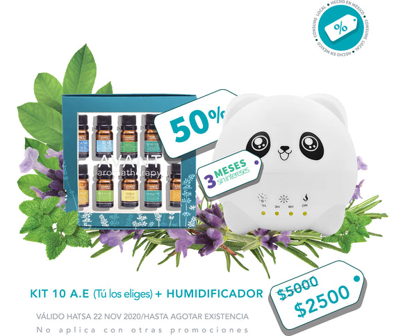 Humidificador ultrasónico Panda 300 ml + Kit 10 Aceites Esenciales (tú los eliges)
