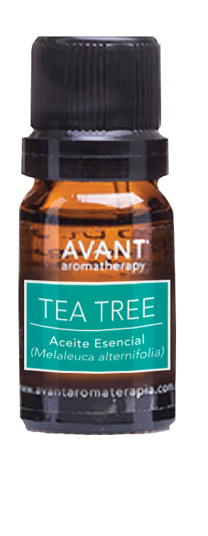 Aceite esencial de Tea tree (Melaleuca)